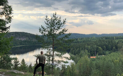 The European Green Deal – Nilörn News, March 2023